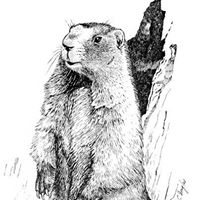 Sean Draper Photo 19