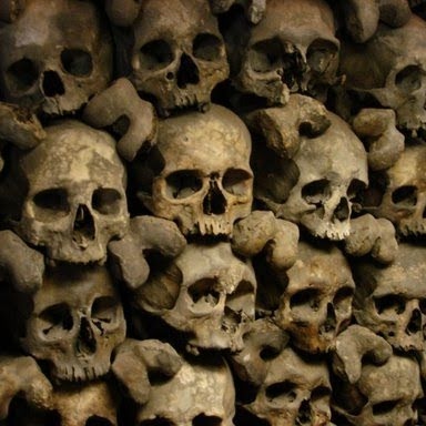 Theresa Schmidt Photo 13