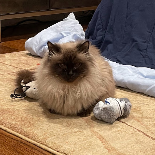 Jennifer Tsai Photo 30