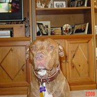 Elizabeth Reiser Photo 5