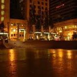 Stephen Rapp Photo 25