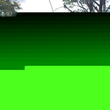 Steve Upton Photo 28