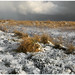 Paul Berry Photo 20