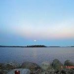 Allan Cook Photo 51