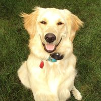 Lloyd Sharp Photo 15