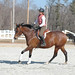 Della Briggs Photo 11