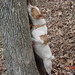 Ginger Mcdowell Photo 20