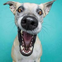 Scott Stewart Photo 52