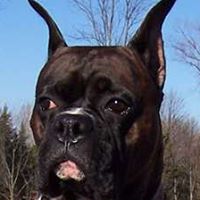 Debbie Strand Photo 10