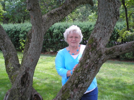 Linda Robertson Photo 27