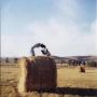 Jessica Berryhill Photo 12