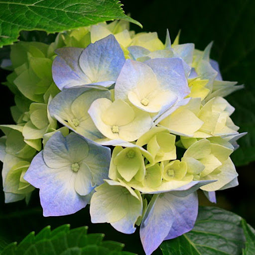 Linda Bowen Photo 29