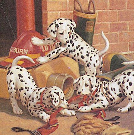 Ronnie Rushing Photo 11