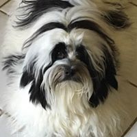 Jackie Wolfe Photo 39