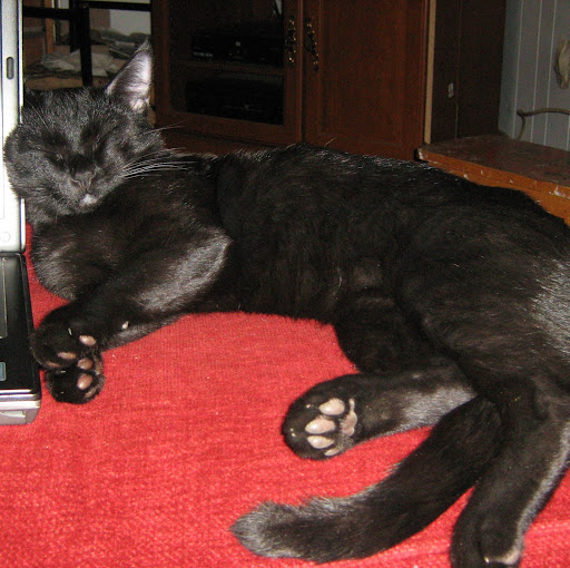 Terri Phillips Photo 25