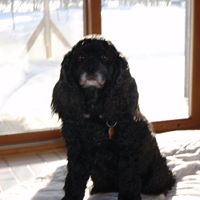 Nancy Daniels Photo 46