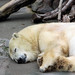 Robert Clapp Photo 10