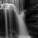 Daren Burton Photo 11
