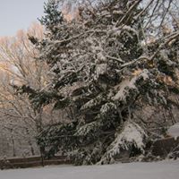 Susan Nolan Photo 22