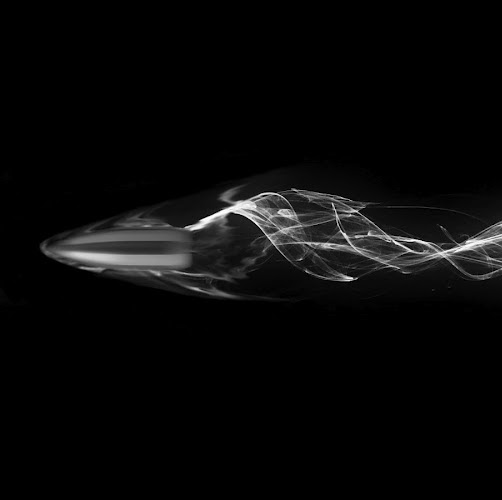 Paul Schiele Photo 4