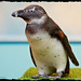 Gregg Sharp Photo 7