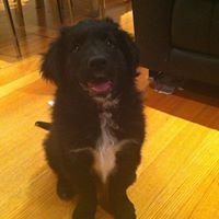 Thomas Parisi Photo 23