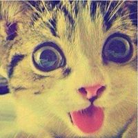 Lucero Pineda Photo 20