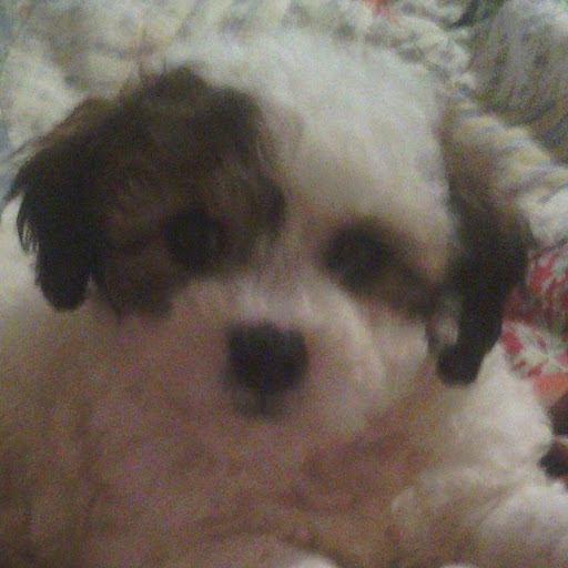 Kathy Mcbride Photo 20