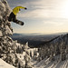 Aaron Robinson Photo 9