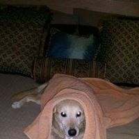 Julianne Barnak Photo 3