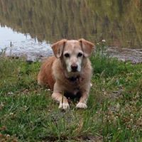 Diana Jenkins Photo 15