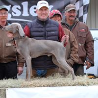 Duane Yoder Photo 20