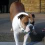 Gracie Christian Photo 6
