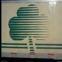 James Finnegan Photo 34