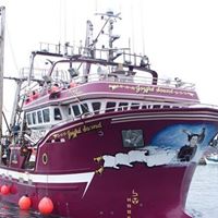 Stephen Skinner Photo 17