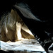 Stacy Packard Photo 9