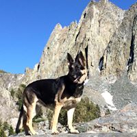 Scott Vaillancourt Photo 9