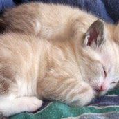 Elsa Villalobos Photo 22