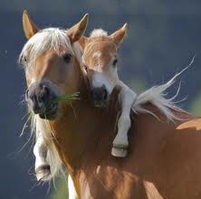 Angela Armenta Photo 7