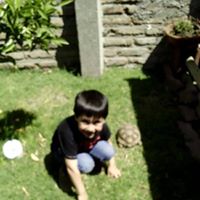 Rodrigo Palominos Photo 12
