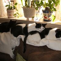 Beth Schafer Photo 21