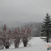 Susan Torpey Photo 7