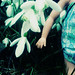 Vicky Root Photo 20