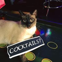 Michelle Hedman Photo 9