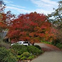 Debra Beach Photo 14