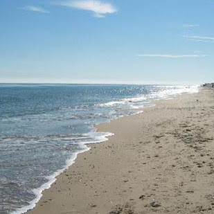 Judith Craig Photo 10