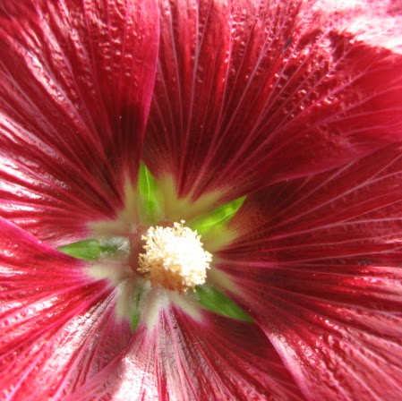 Mary Perkins Photo 12 Mary Perkins Photo 12