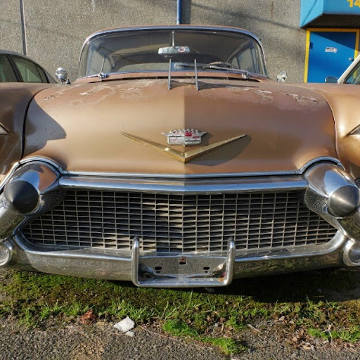 Steve Baldwin Photo 35 Steve Baldwin Photo 35