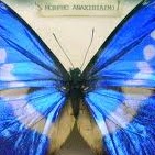 Antoinette Costa Photo 21