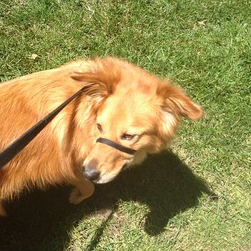 Grace Weber Photo 38 Grace Weber Photo 38